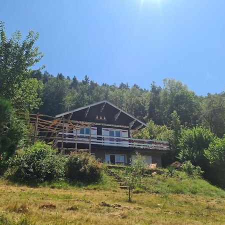 Le Chalet Des Amis Aurec-Sur-Loire Eksteriør bilde