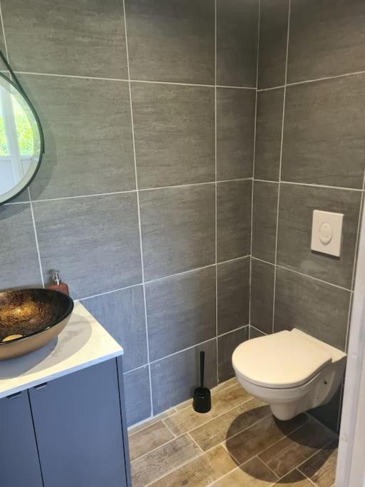 Le Chalet Des Amis Aurec-Sur-Loire Eksteriør bilde